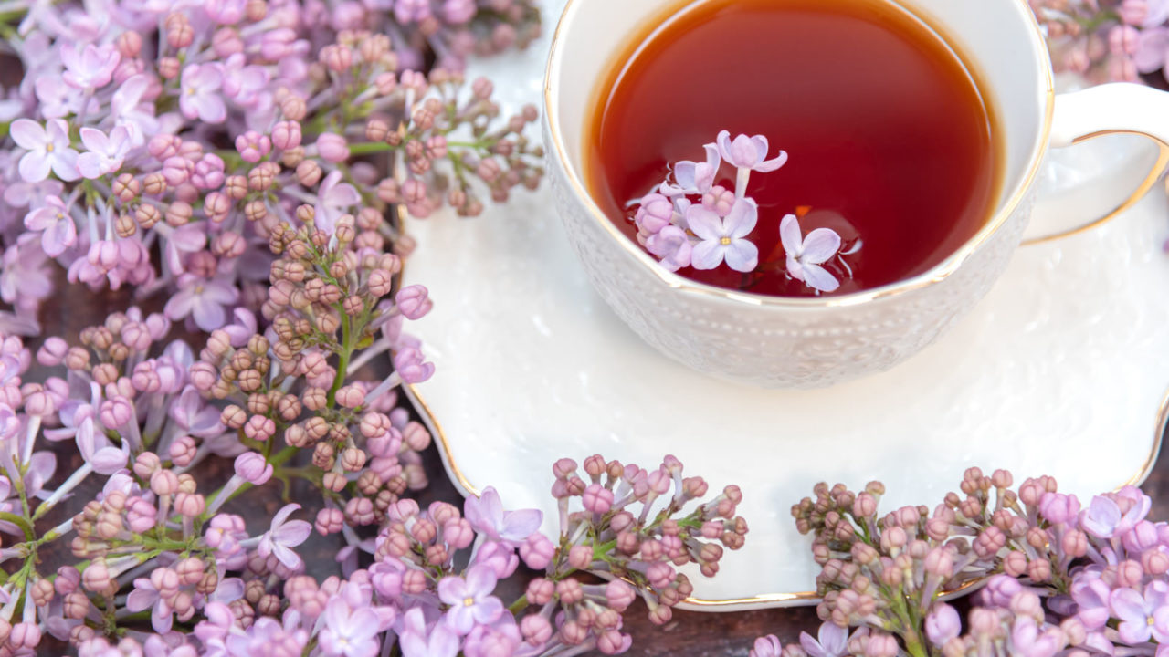 紅茶の効能効果と注意すべきこと。